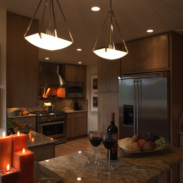 Contemporary Kitchen Remodel