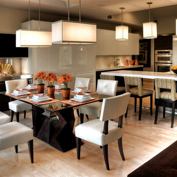 Eden Prairie Residence