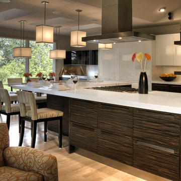 Eden Prairie Residence
