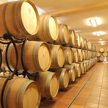 In Vino Veritas