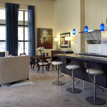 The Whitney - Contemporary Condo